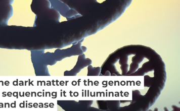 There is still a great deal unknown about RNA and its modifications. Christoph Burgstedt/Science Photo Library via Getty Images